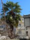 In der Mitte von Bilk! Großzügiges Apartment mit Stellplatz - Ausblick Hof