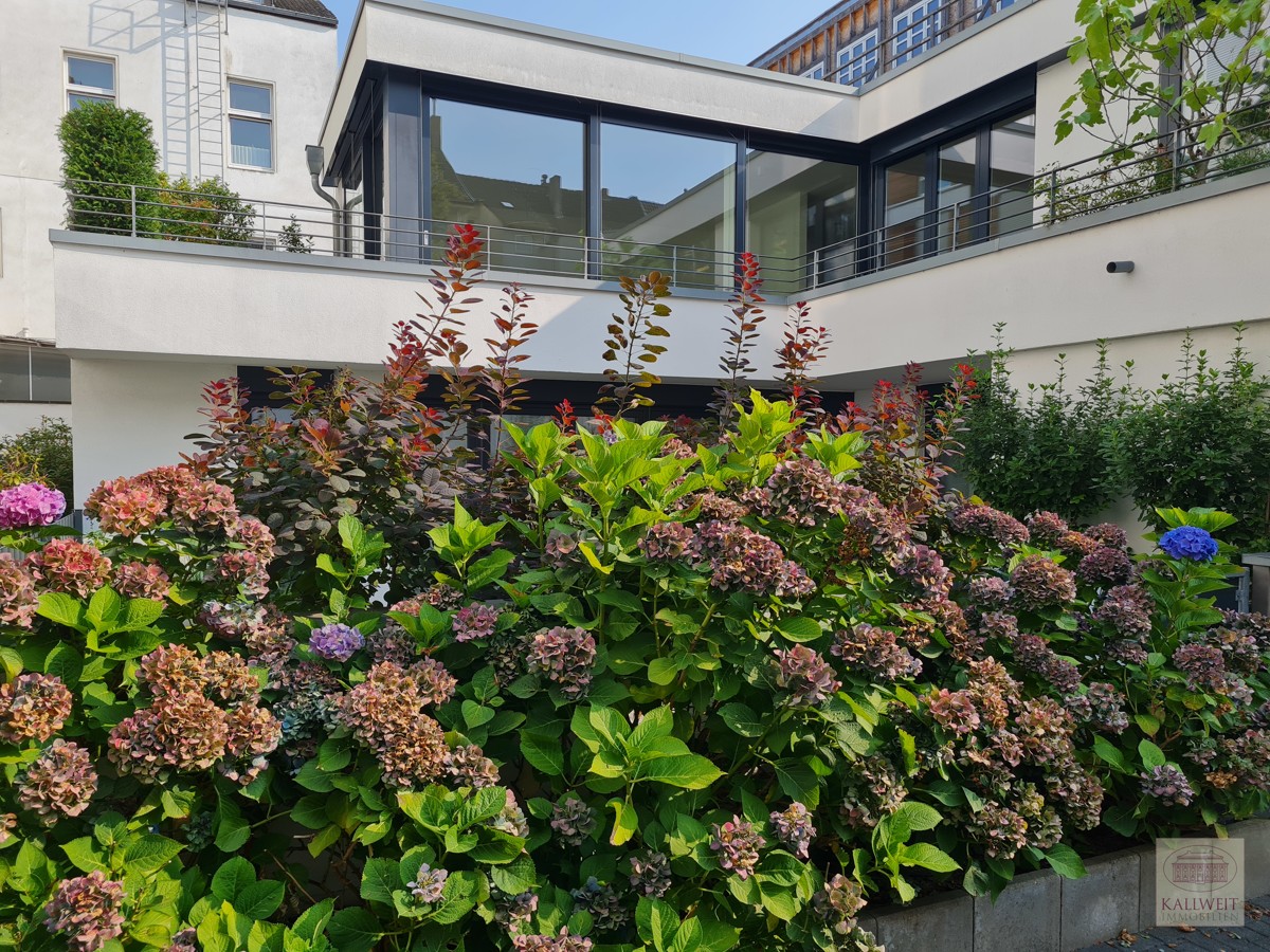 Nahe Florapark: Wohnen im eigenen Stadthaus - Eingangsbereich Sichtschutz